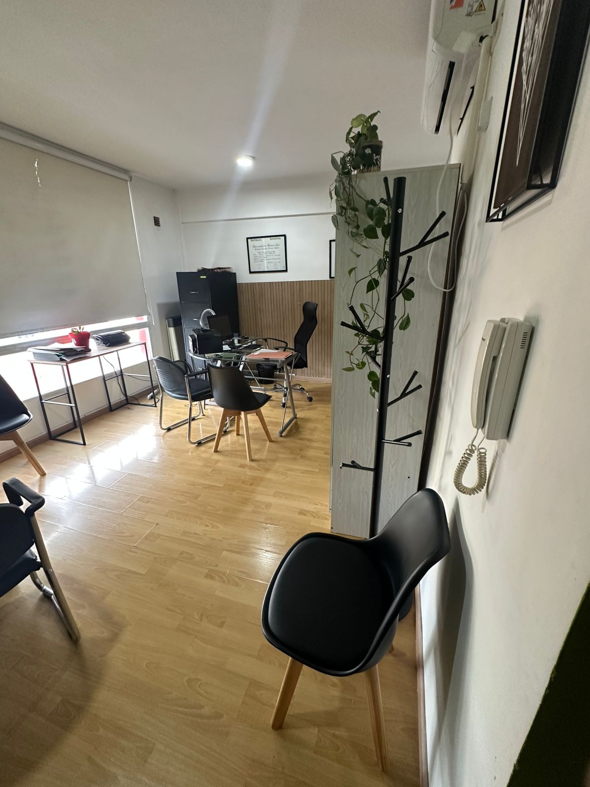 Interior del estudio